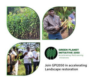GPI2050 INITIATIVE