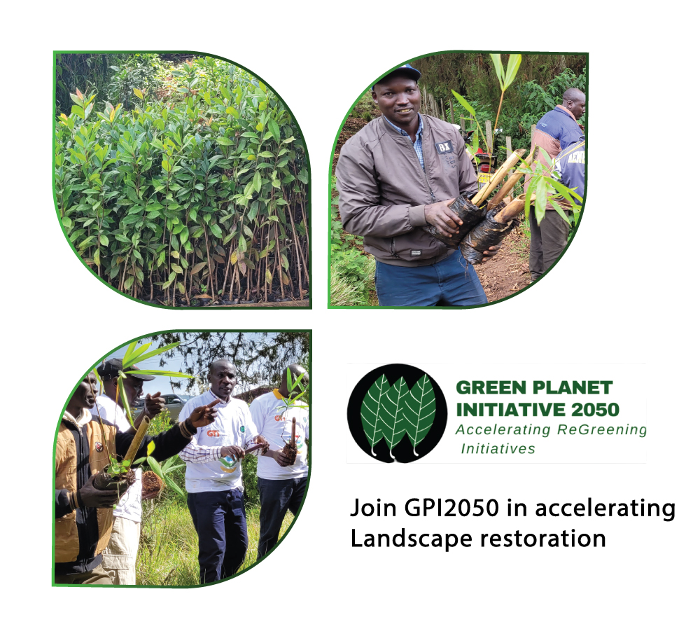 GPI2050 INITIATIVE